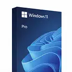 Windows 11 Pro